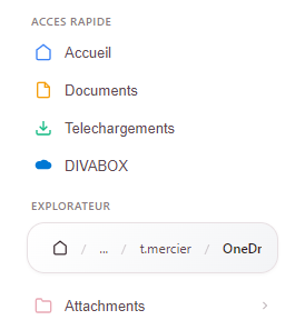 File explorer with folder navigation